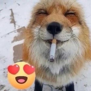 Meet your Posher, Azz